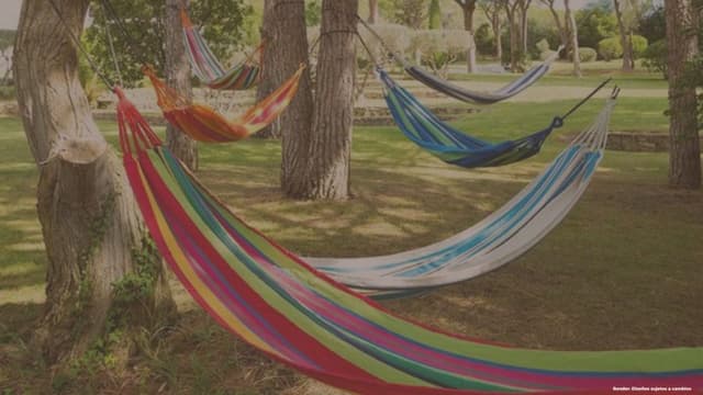 Mirador y hamacas