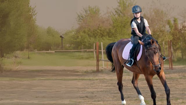 Pista de chalanería